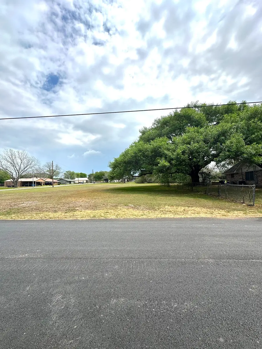 127 N Mechanic Street, Bellville, TX 77418 - #3