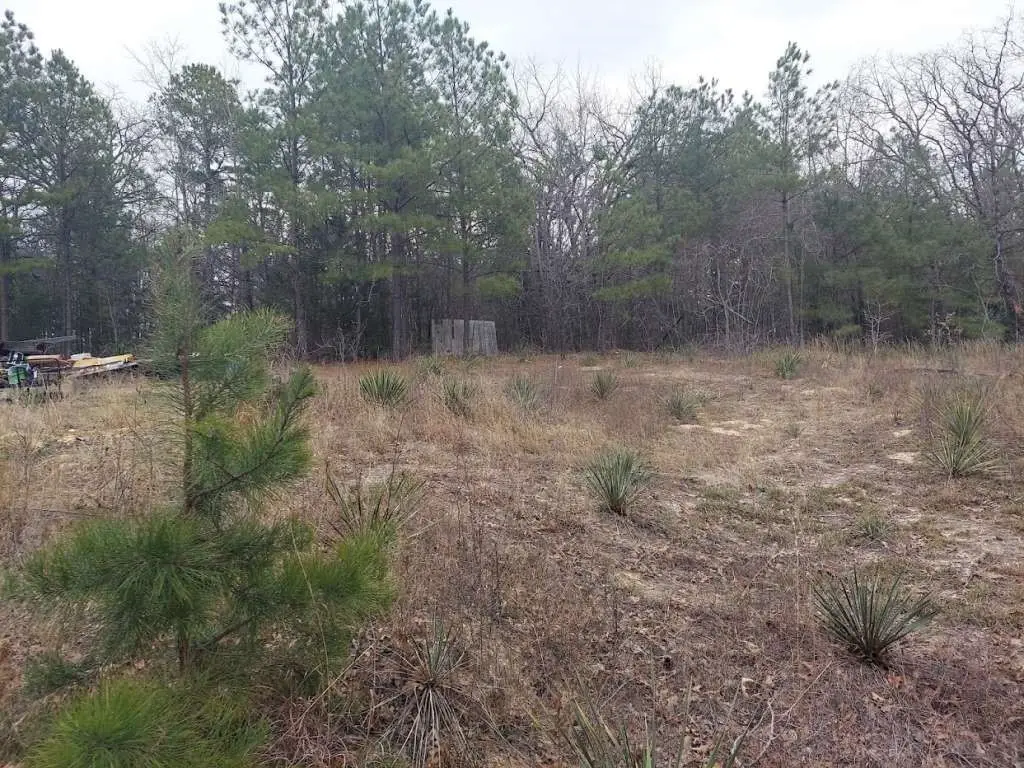 1115 Hickory Drive, Harleton, TX 75651 - Image #1