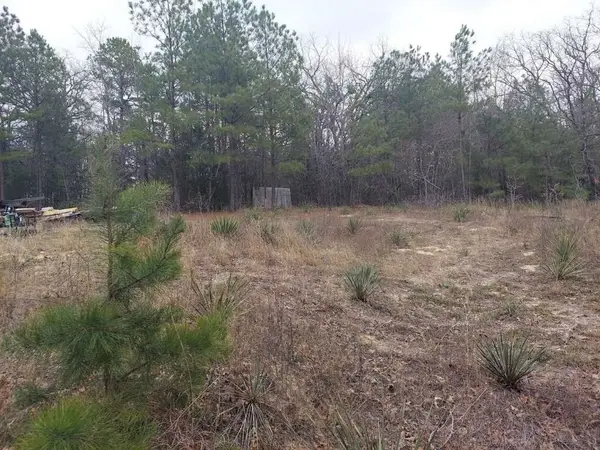 1115 Hickory Drive, Harleton, TX 75651