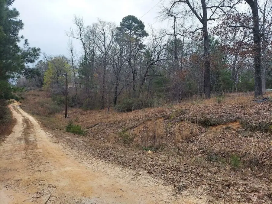 1115 Hickory Drive, Harleton, TX 75651 - Image #3