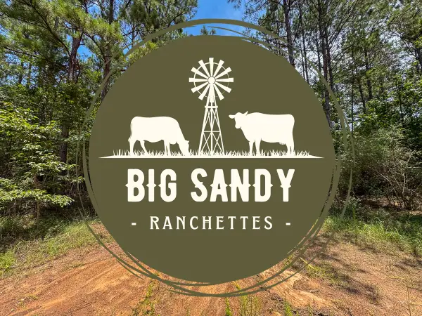T-4 Benny Griffin Road, Livingston, TX 77351