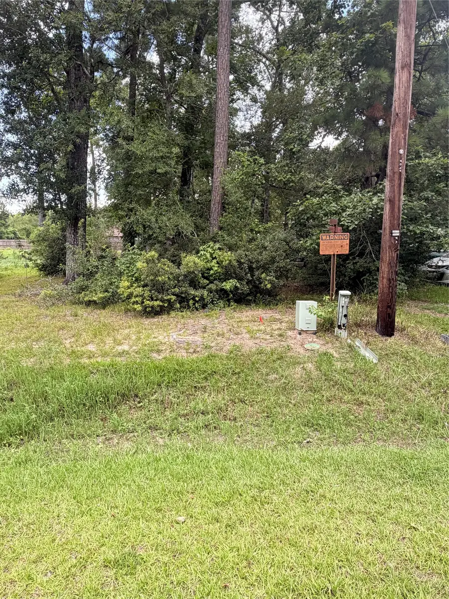 93 & 113 County Road 3669a Road, Splendora, TX 77372 - #3