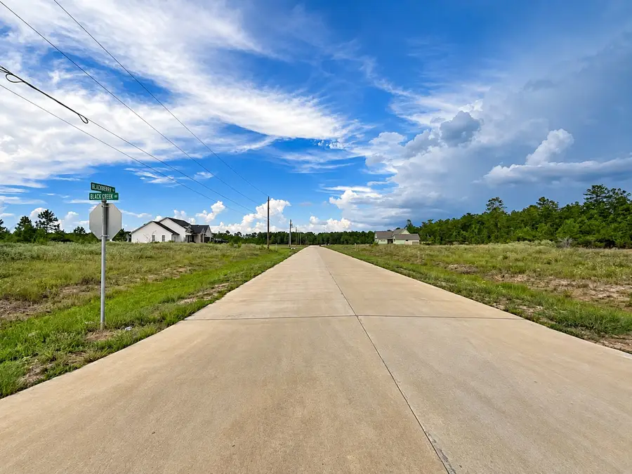 13110 Blackberry Drive, Lumberton, TX 77657 - #3