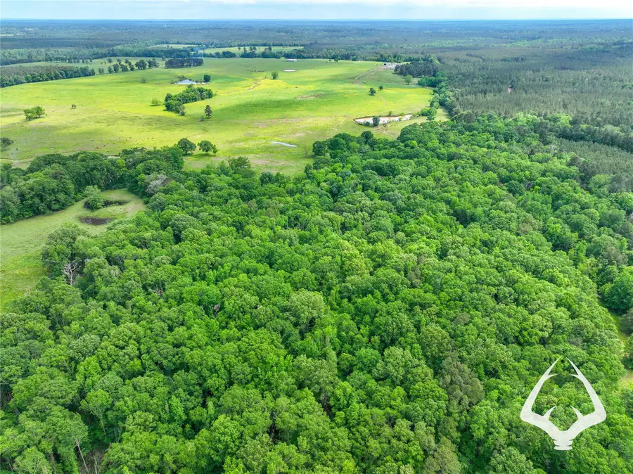 00 Dorsey Road, Hemphill, TX 75948 - #2