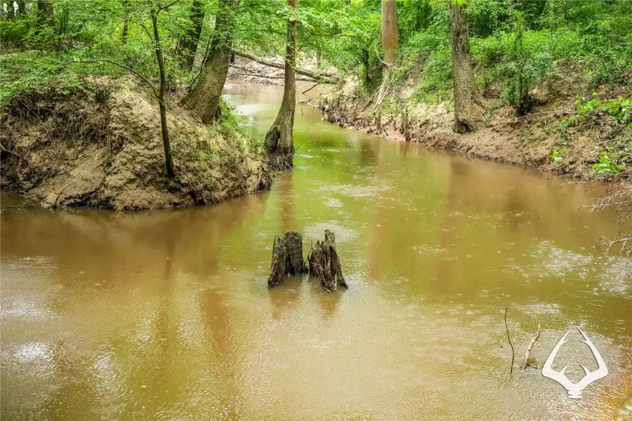 00 Dorsey Road, Hemphill, TX 75948 - #3