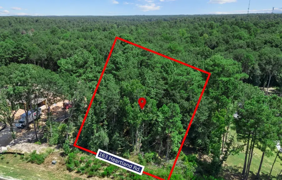 163 Heartland Road, New Waverly, TX 77358 - #2