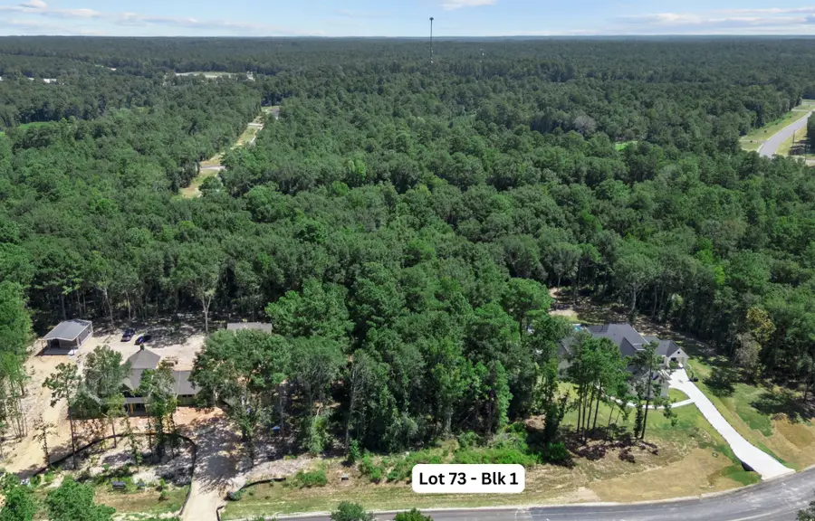 163 Heartland Road, New Waverly, TX 77358 - #3