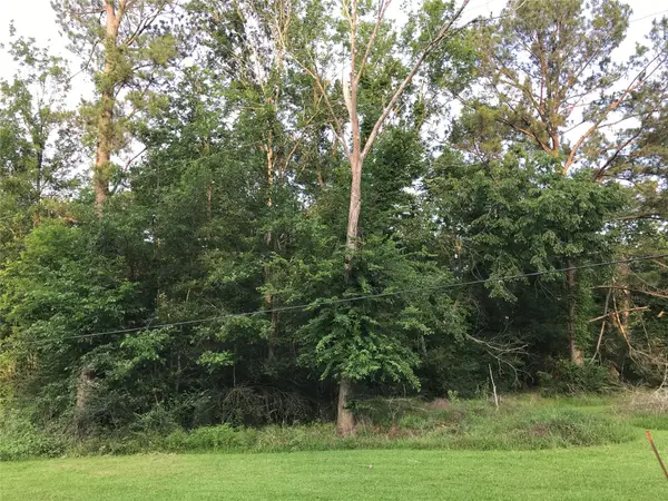 150 Lakeside Court, Goodrich, TX 77335