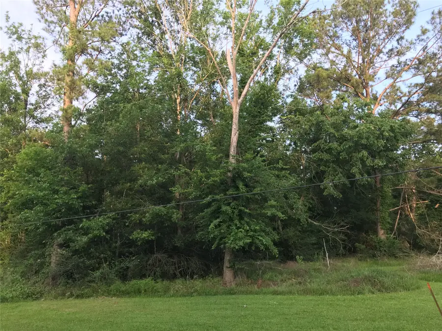 150 Lakeside Court, Goodrich, TX 77335 - #2