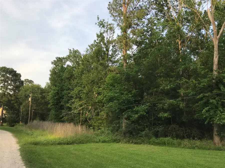 150 Lakeside Court, Goodrich, TX 77335 - #3