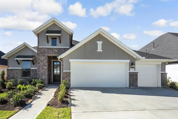 17315 Lynn Orchard Drive, Hockley, TX 77447