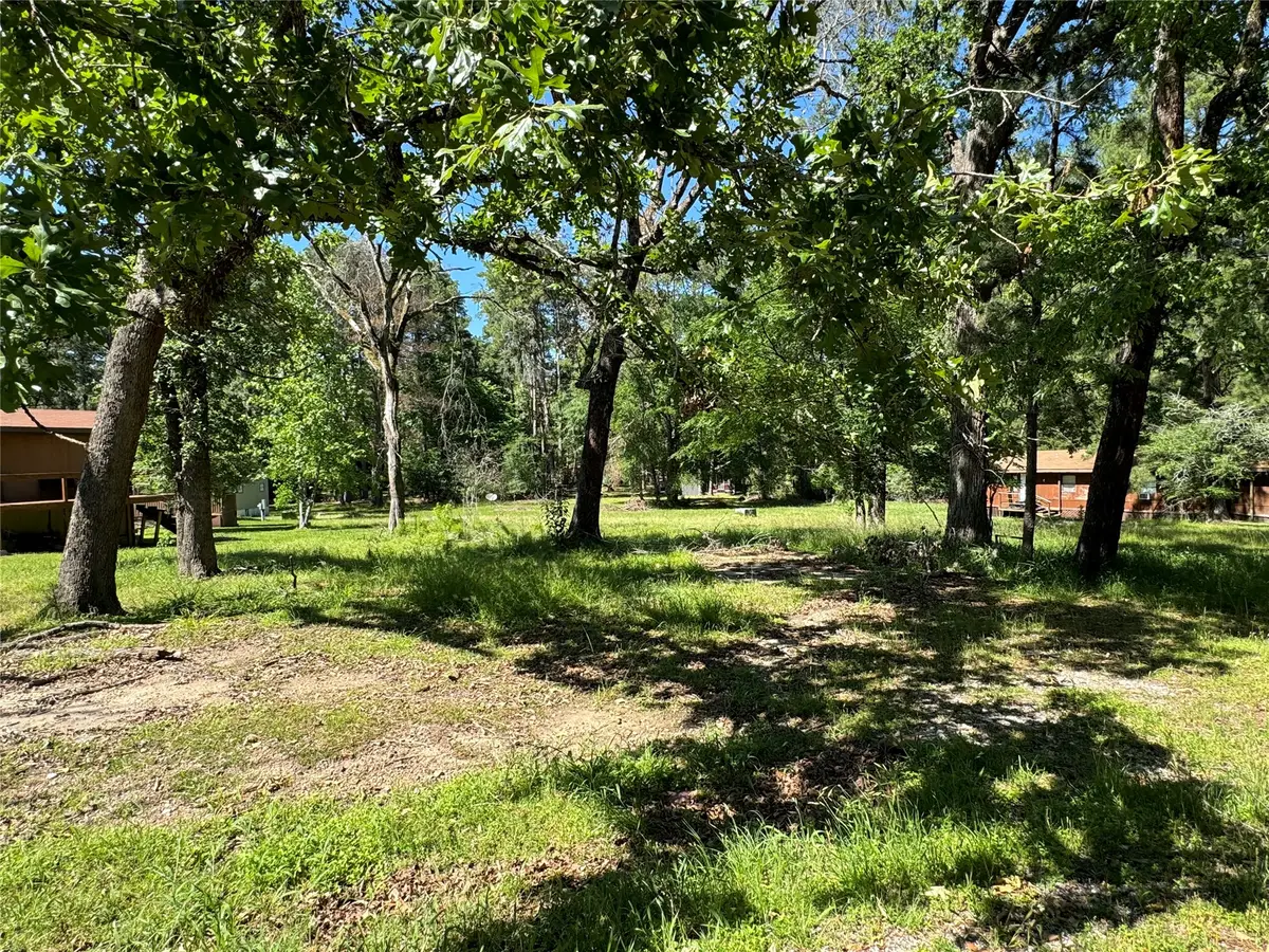 31 Whippoorwill Ln, Trinity, TX 75862 - #1
