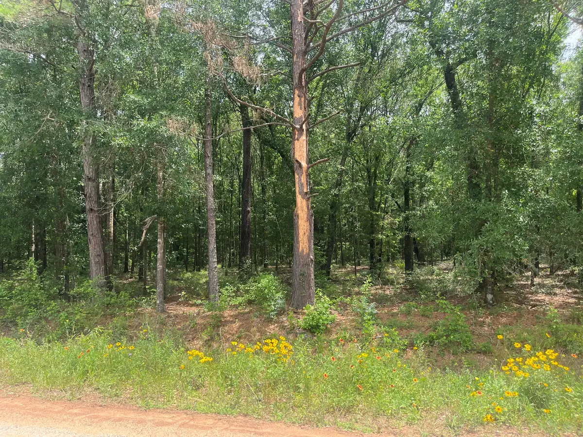 0 Oak Bend, Cleveland, TX 77328 - #1