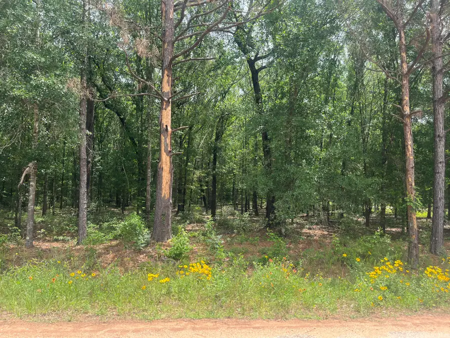 0 Oak Bend, Cleveland, TX 77328 - #2