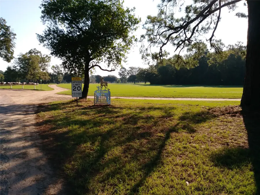 0000 Vickie, Shepherd, TX 77371 - #2