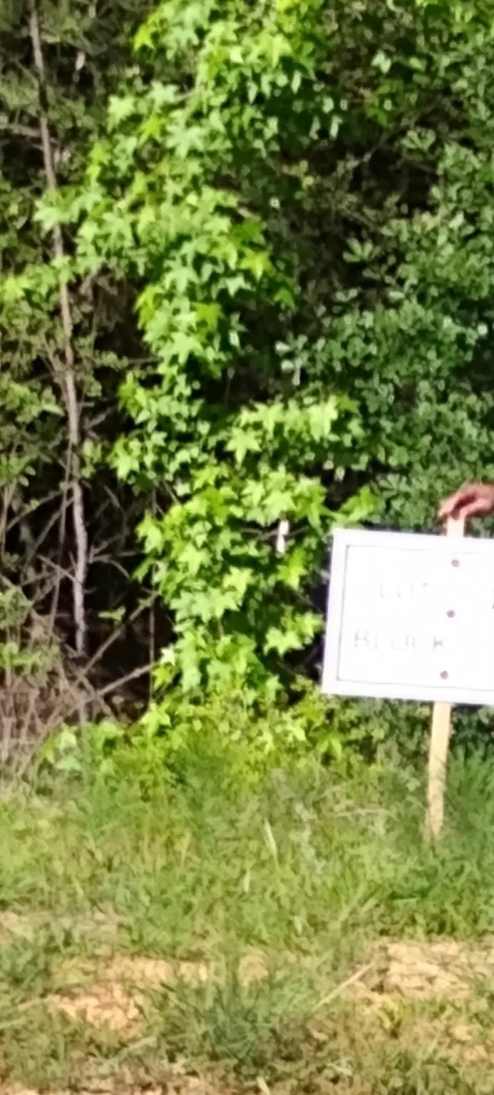 67 Coyote Run Road, Willis, TX 77358 - Image #2