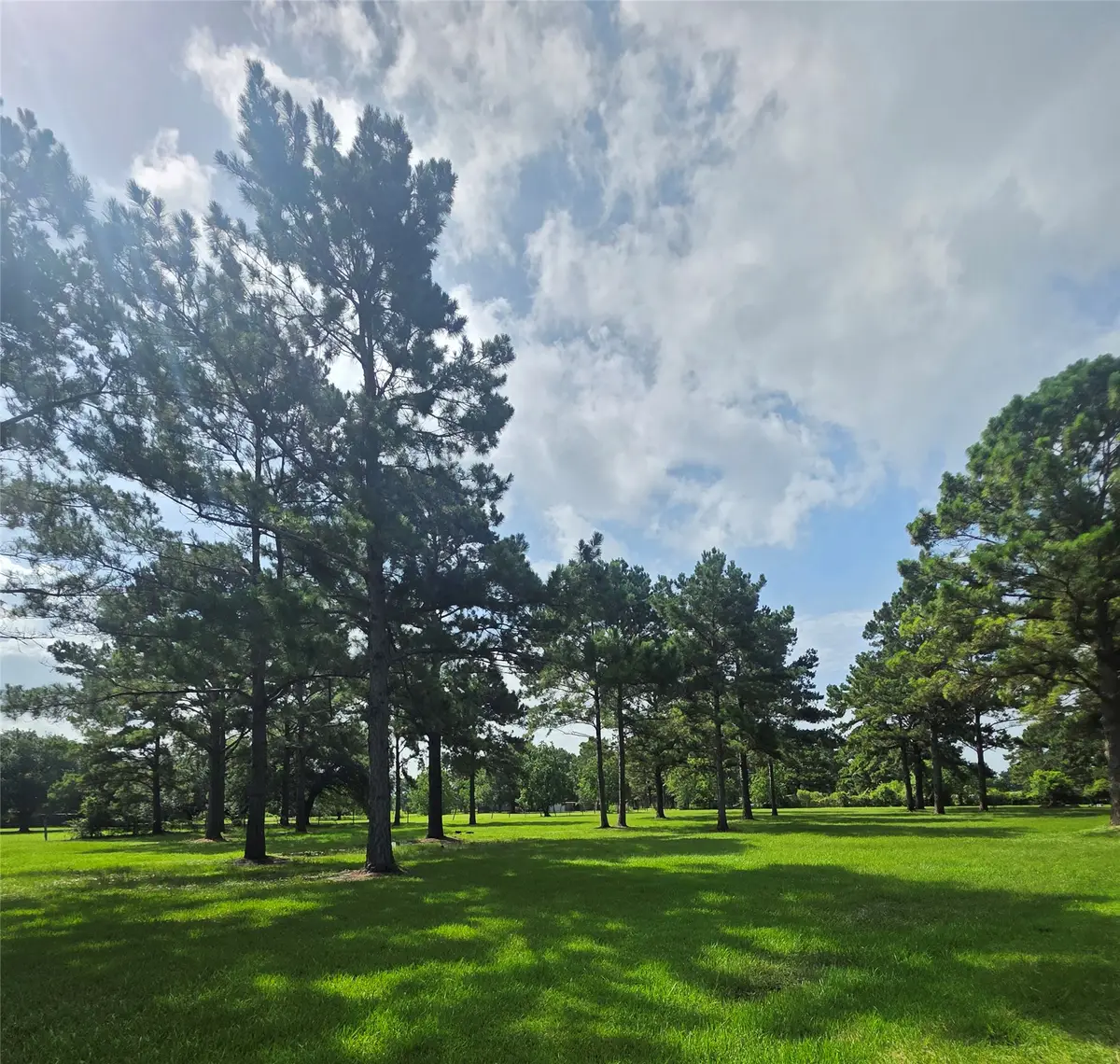 910 Sundown Meadows Street, Crosby, TX 77532 - #1