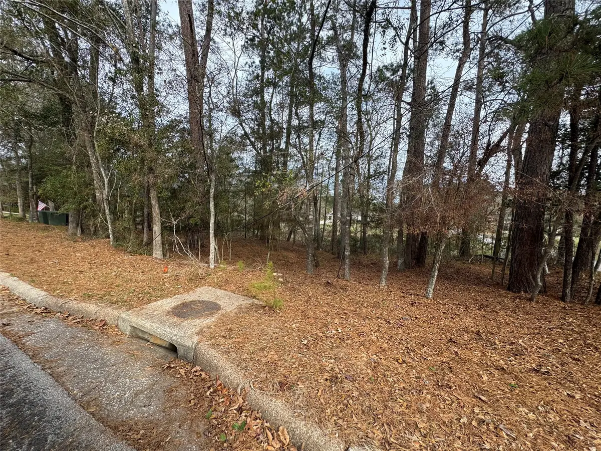 728 Overbrook Drive, Huntsville, TX 77340 - #1