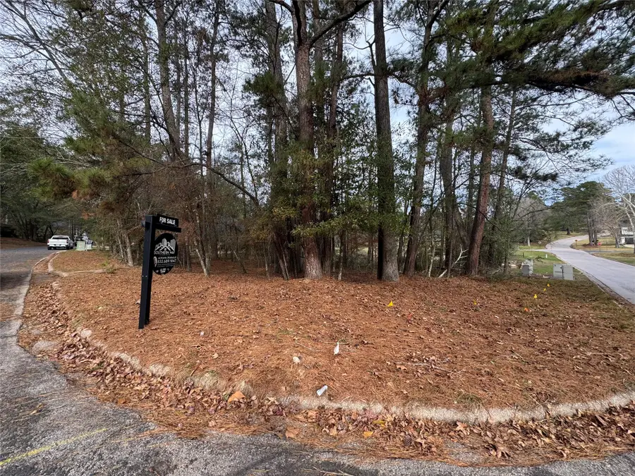 728 Overbrook Drive, Huntsville, TX 77340 - #3