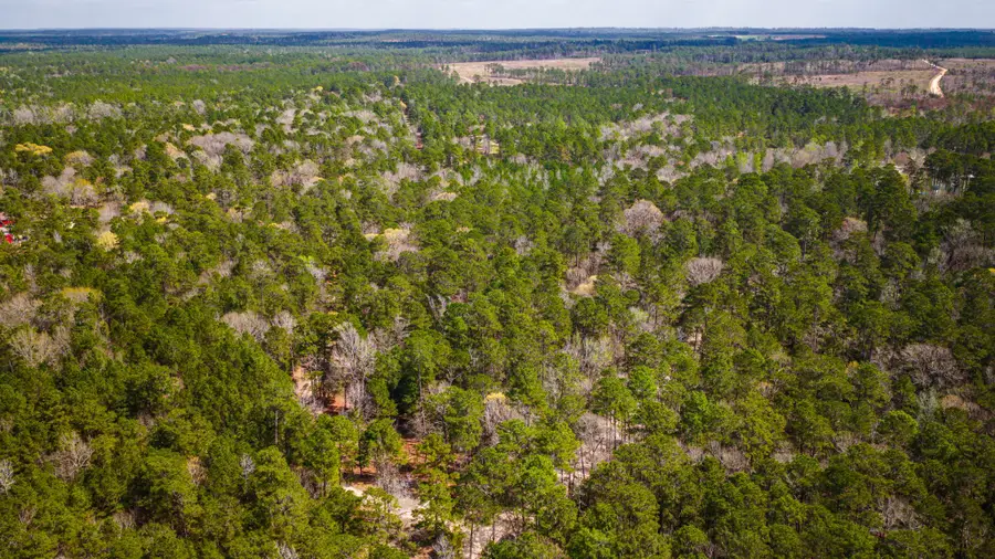 TBD Tract 5 Triple Creek Loop, Livingston, TX 77351 - #2