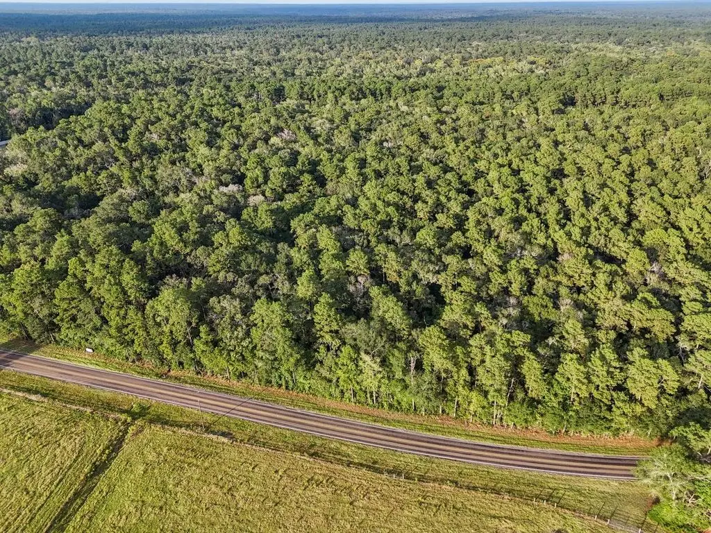 00 Tbd Fm 1725, Cleveland, TX 77328 - #1
