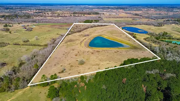 11560 County Road 203, Plantersville, TX 77363