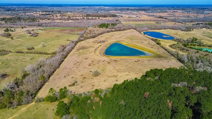 11560 County Road 203, Plantersville, TX 77363 - #2