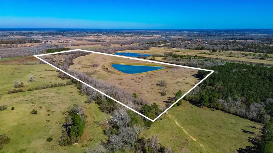 11560 County Road 203, Plantersville, TX 77363 - #3