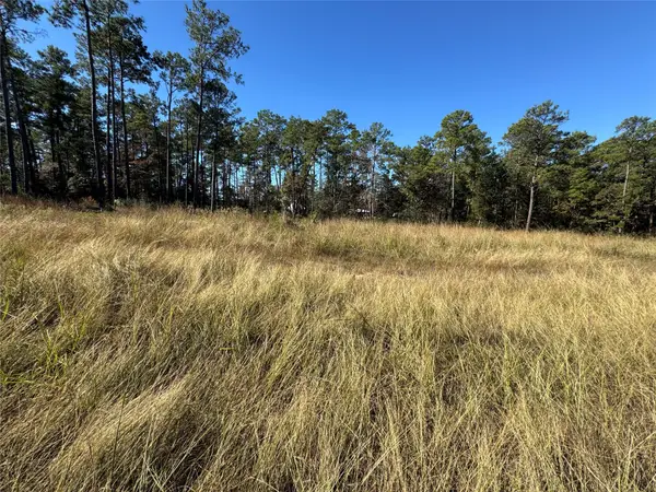 064 Private Road 6026 Tract 1-64, Brookeland, TX 75931