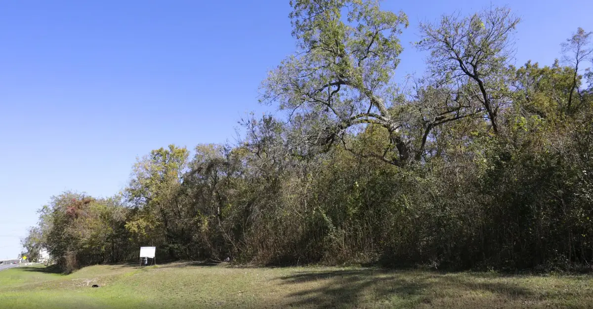 245 Crabb River, Richmond, TX 77469 - #1