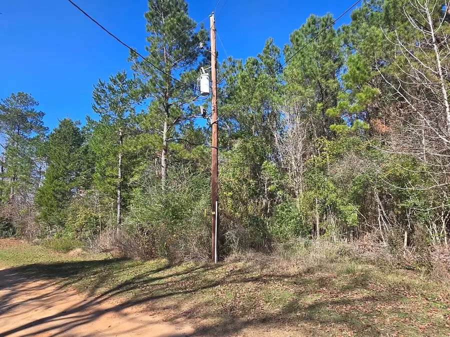 TBD Private Road 5020, Woodville, TX 75979 - Image #3