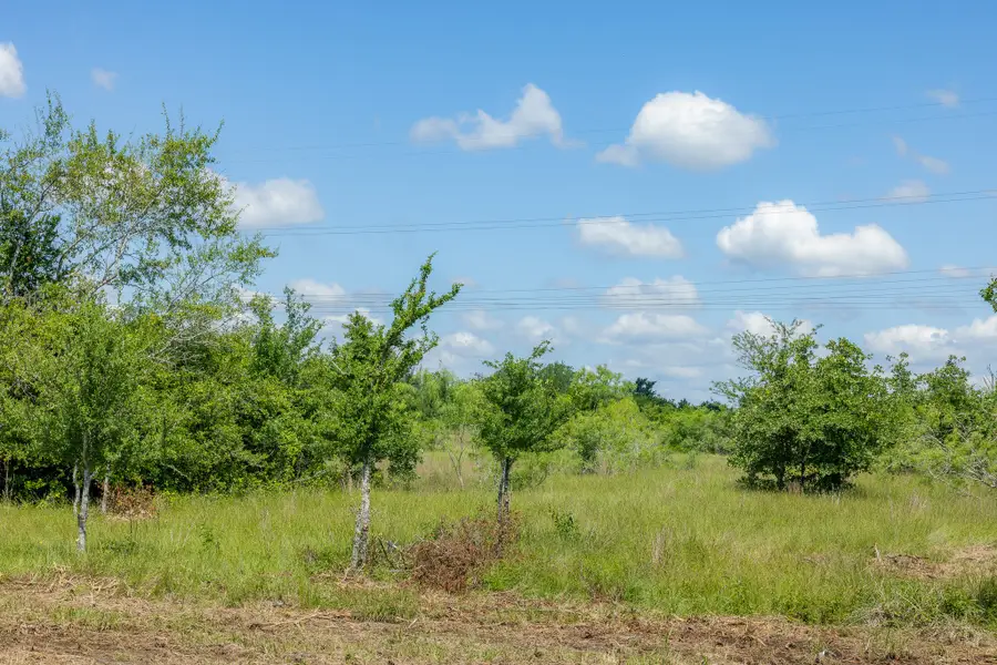 6549 Atakapan Trail, Bedias, TX 77831 - #3