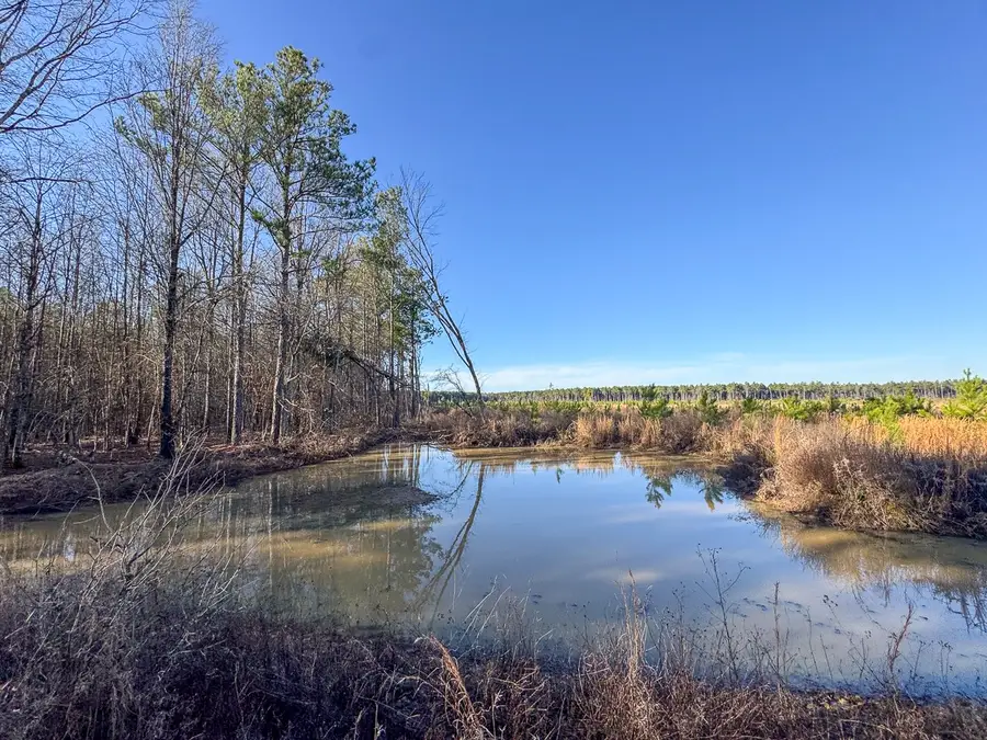 000 Fm 1159, Clarksville, TX 75426 - #3