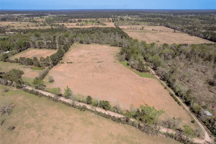 1533 Kickapoo Road, Groveton, TX 75845 - #2