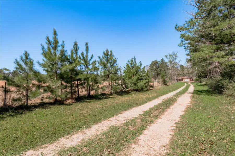 1533 Kickapoo Road, Groveton, TX 75845 - #3
