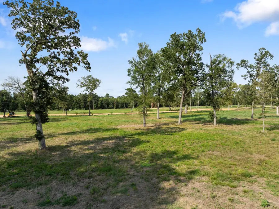 Lot 33 Island View, Livingston, TX 77351 - Image #3