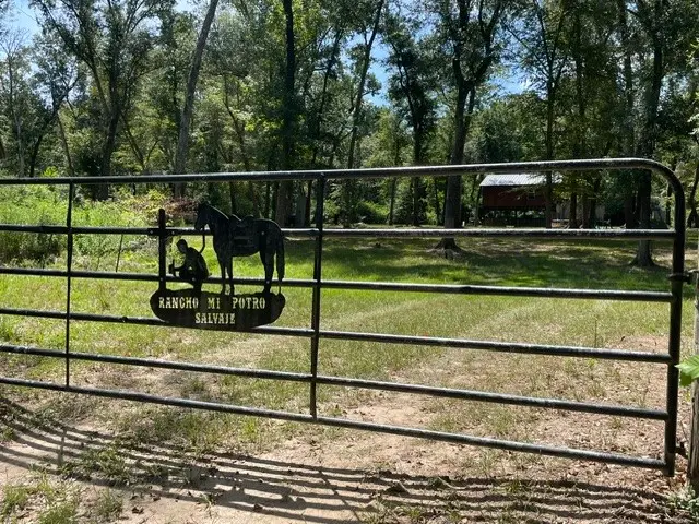 TBD W Christine Dr, Splendora, TX 77372 - #1