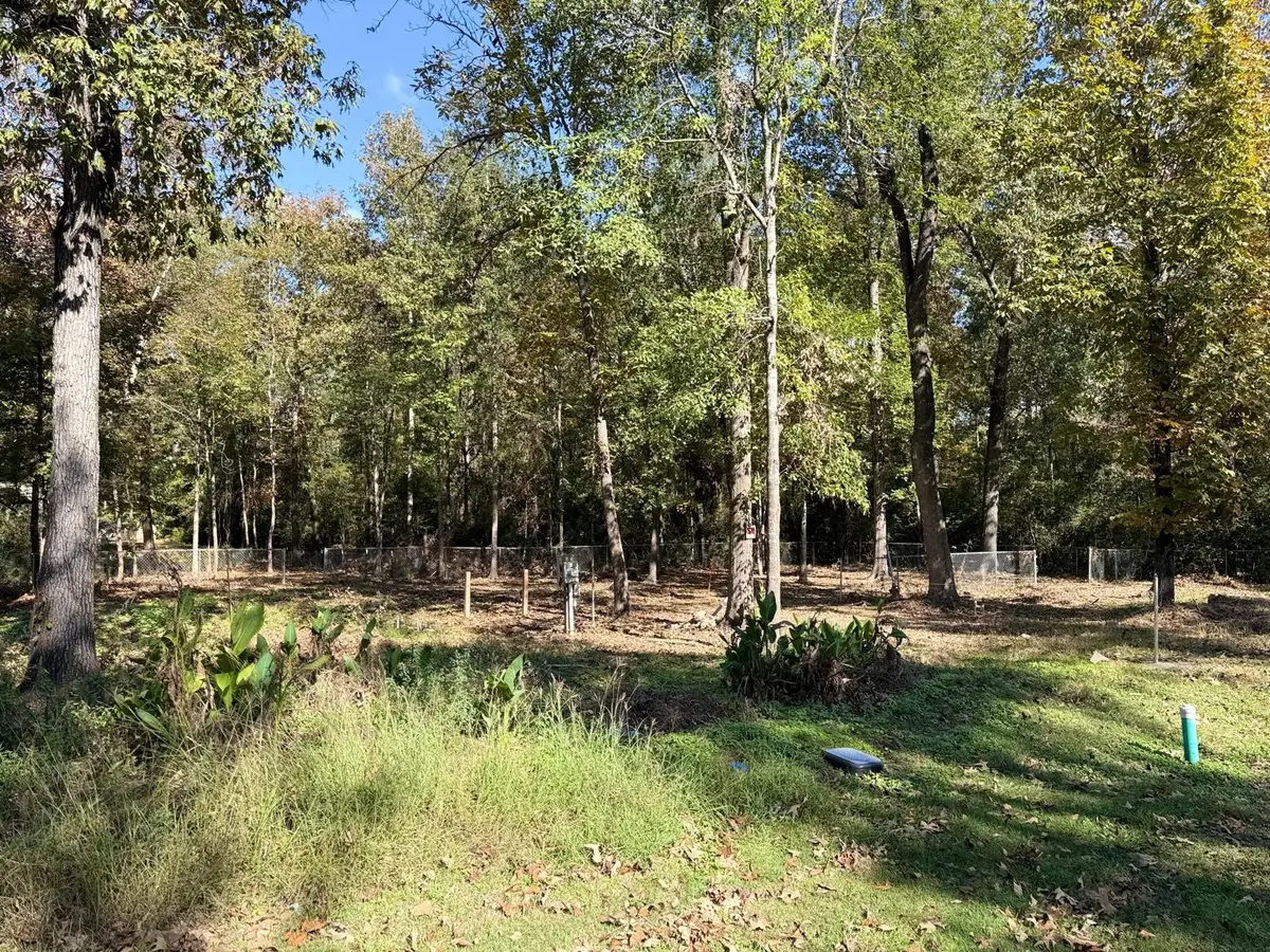 250 Beaver Run, Livingston, TX 77351 - Image #1