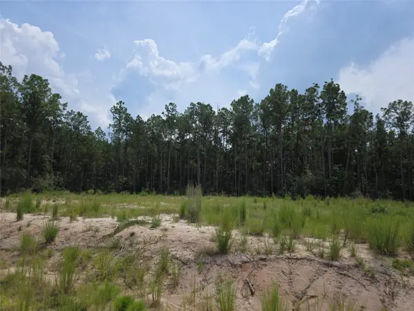 135 Rayburn Reserve Drive, Jasper, TX 75931