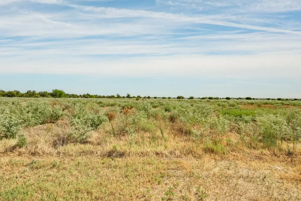4742 Ruger Way, Bryan, TX 77808 - #1