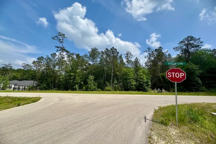 276 Exploration Road, New Waverly, TX 77358 - #3