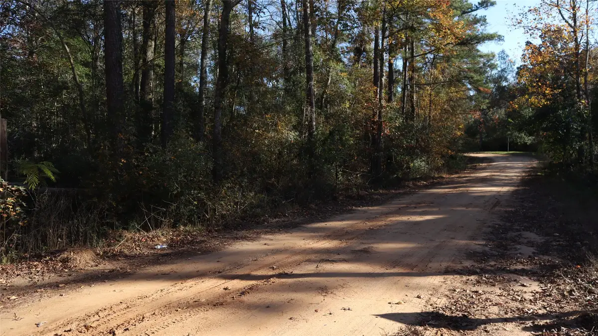 0 Mallard Drive, Coldspring, TX 77331 - Image #1