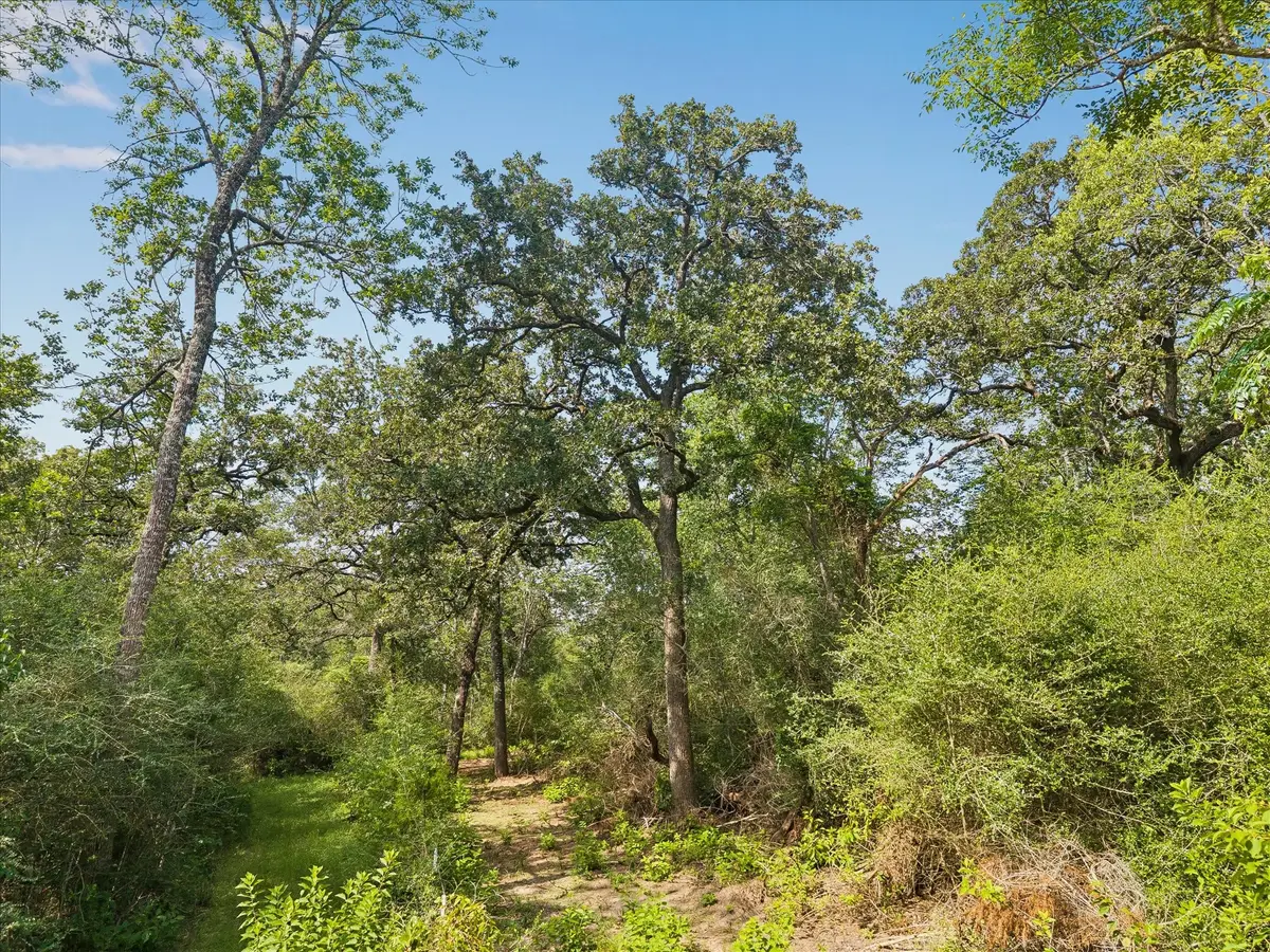 0001 Highway 159 West W, Bellville, TX 77418 - #1