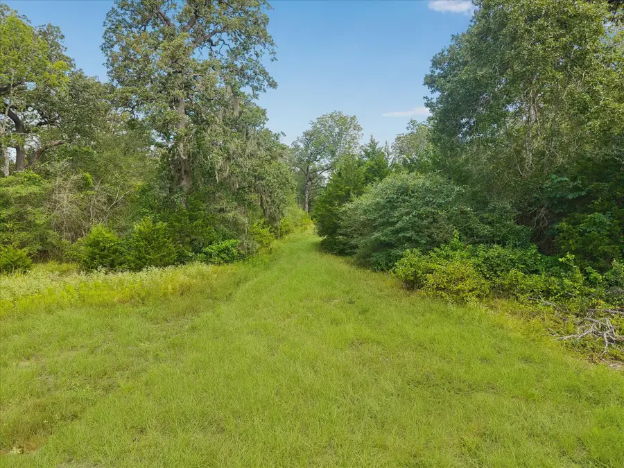 0001 Highway 159 West W, Bellville, TX 77418 - #2