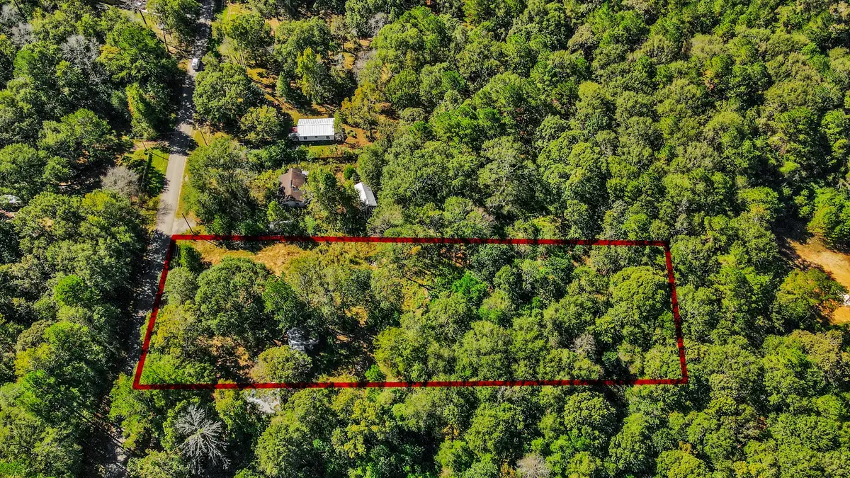 1100 Cherry Creek Drive, Shepherd, TX 77371 - Image #1