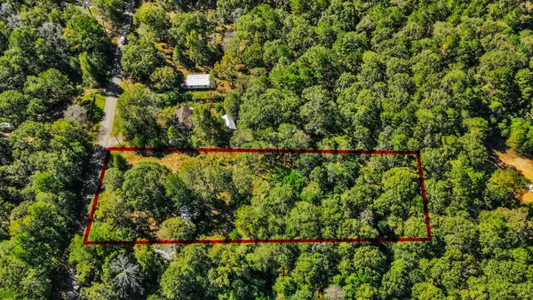 1100 Cherry Creek Drive, Shepherd, TX 77371