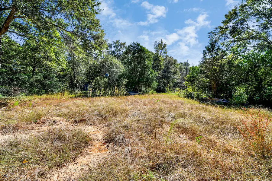 1100 Cherry Creek Drive, Shepherd, TX 77371 - Image #3