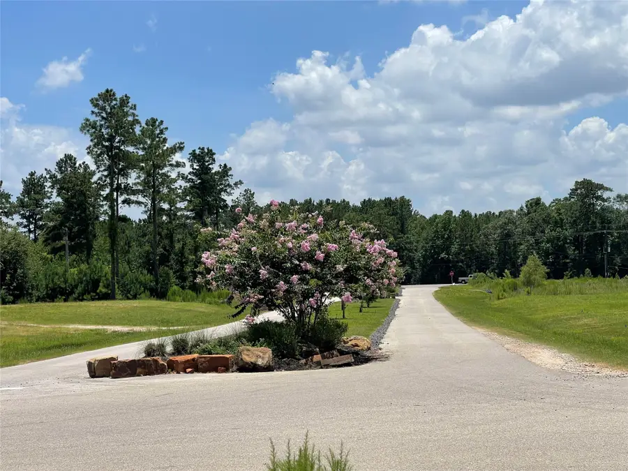 20035 Kincaid Drive, Conroe, TX 77306 - #2