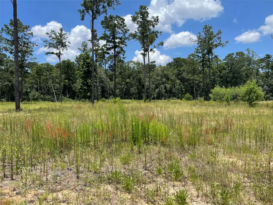 20035 Kincaid Drive, Conroe, TX 77306 - #3