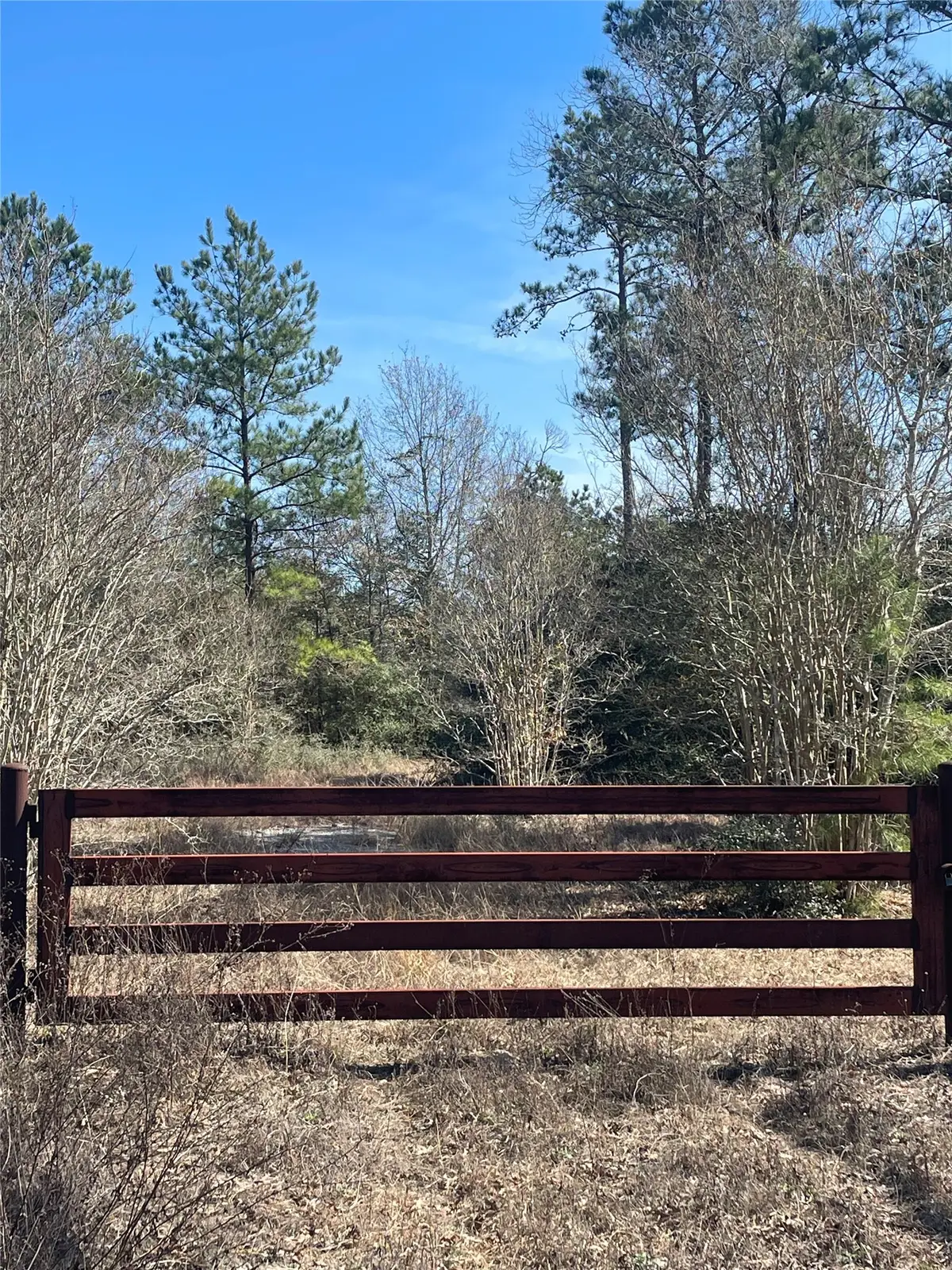 6238 County Road 302, Navasota, TX 77868 - #1